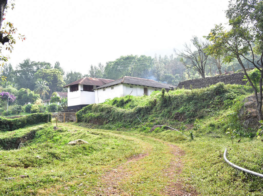 The Wildernest Homestay主图