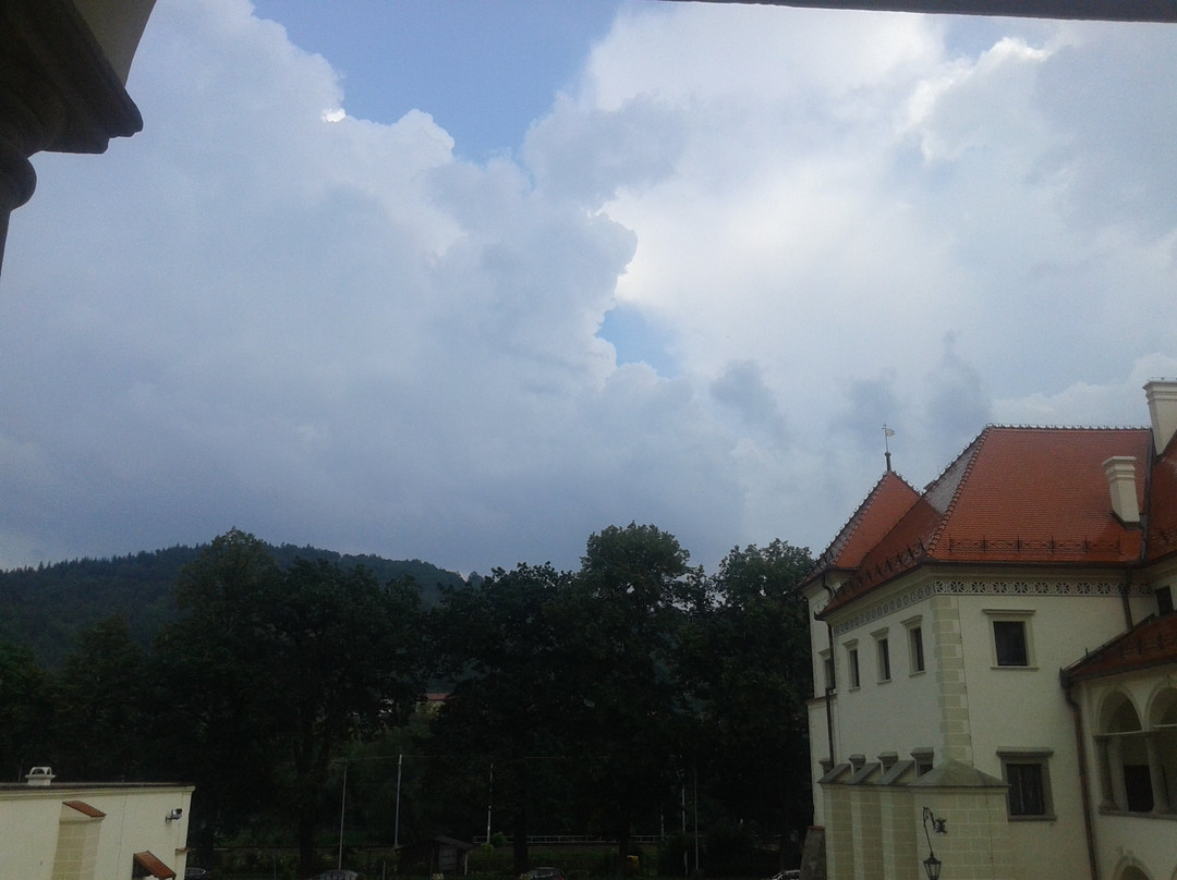 Muzeum Miejskie Suchej Beskidzkiej景点图片