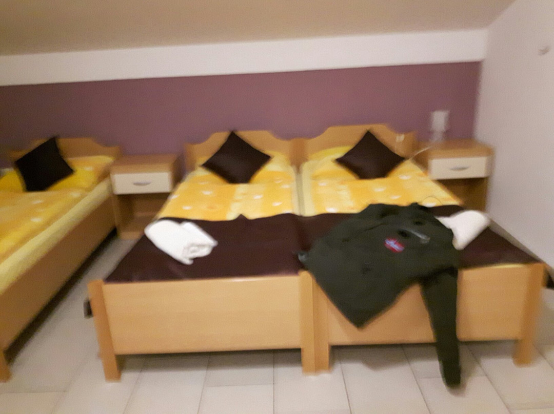 Hotel Furman主图