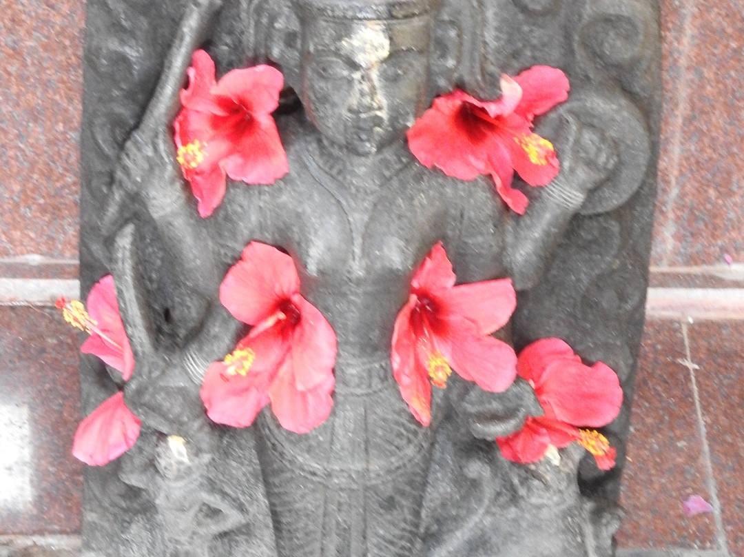 Sindhudurg Fort景点图片