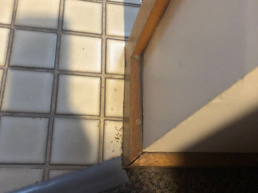 Tanjil Motor Inn主图