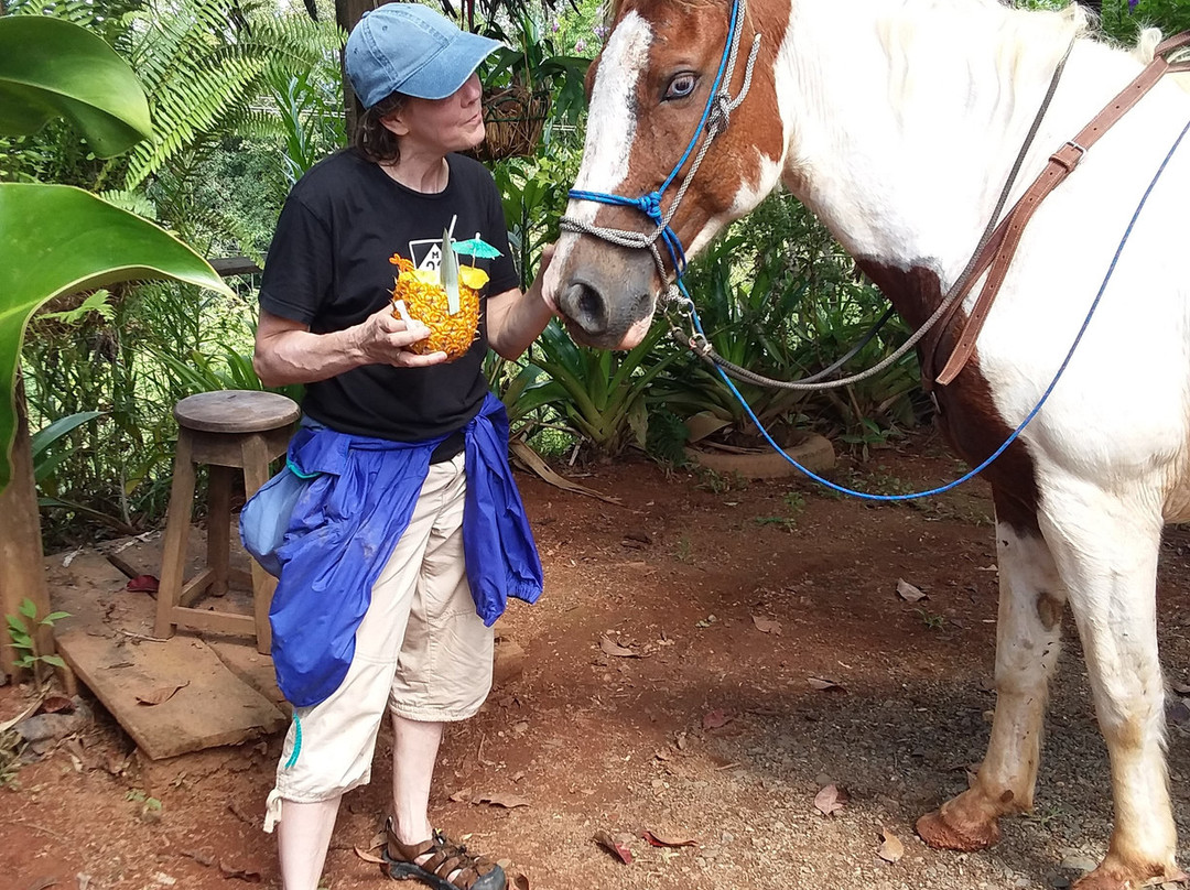Finca La Puesta Del Sol主图