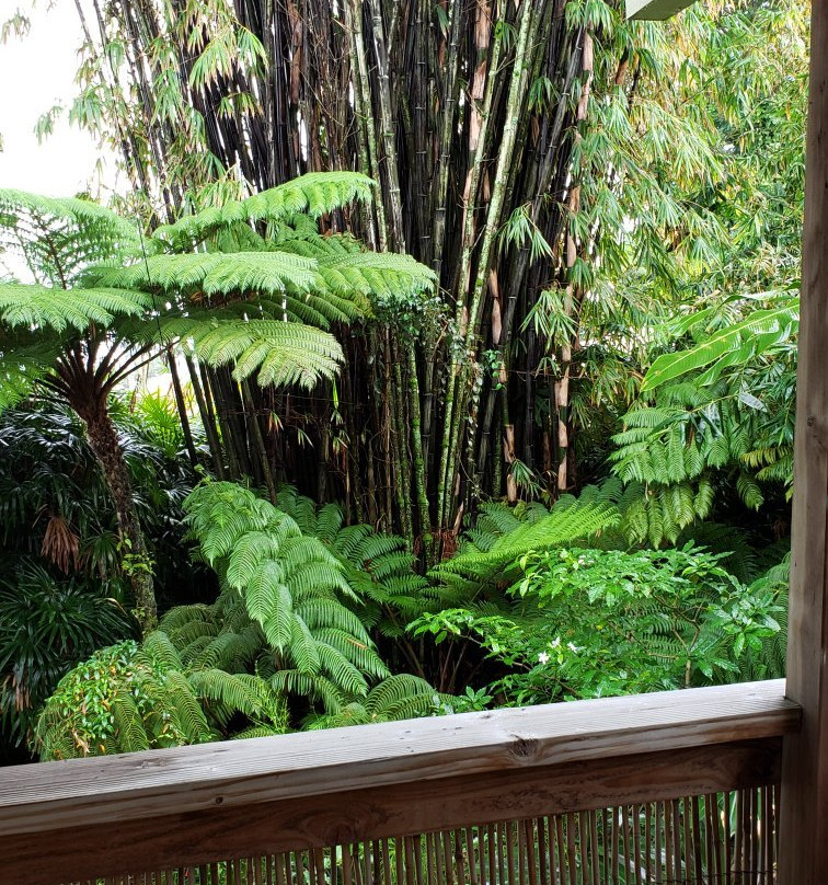 希洛湾家庭式酒店主图