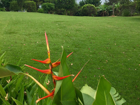 Hotel Boca Brava Paradise主图