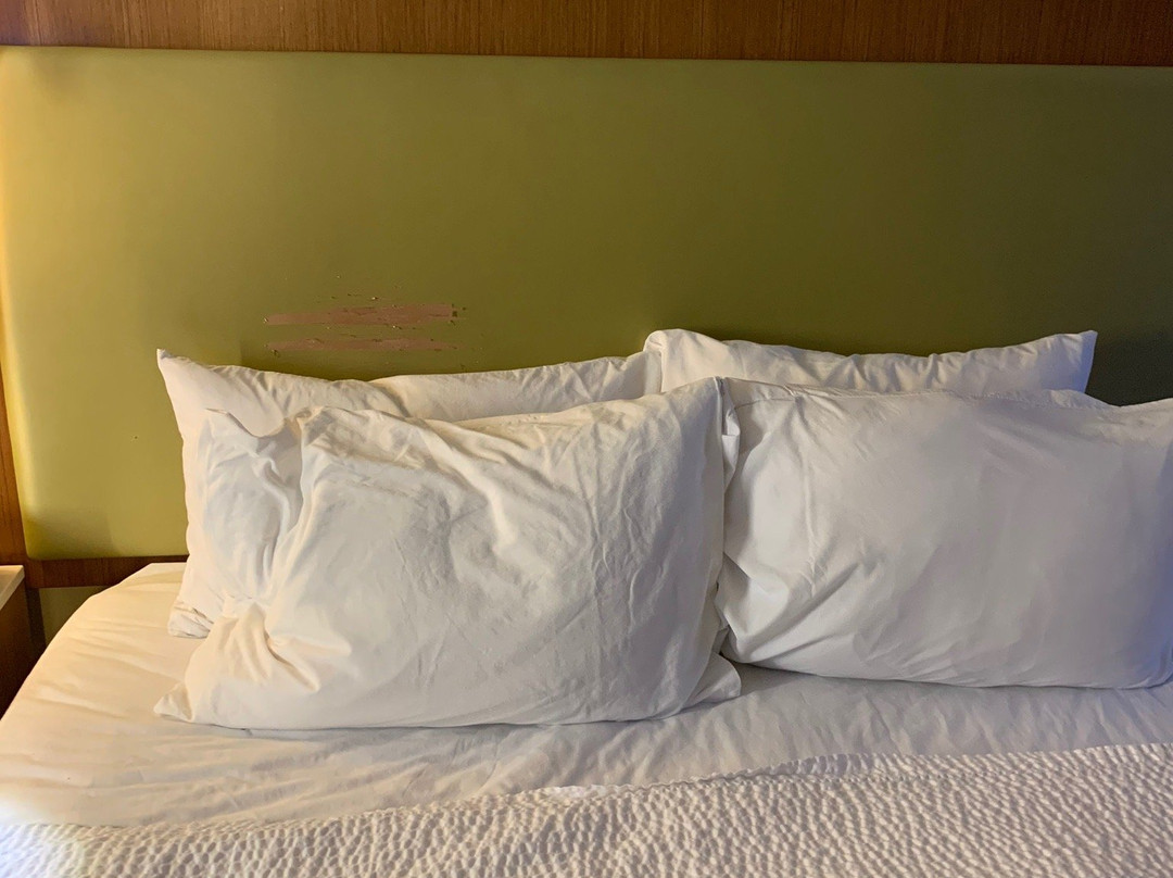 SpringHill Suites by Marriott Detroit Metro Airport Romulus主图