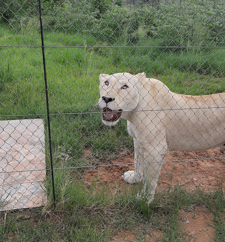 Jugomaro Predator Park 2.0-瓦尔沃特必去景点