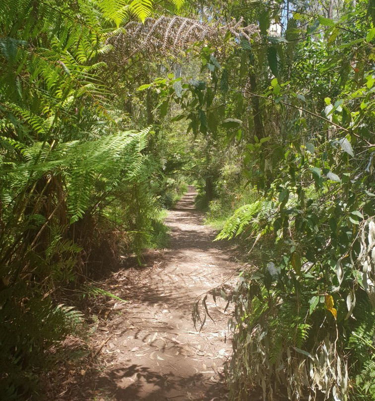 La La Falls-华伯登必去景点