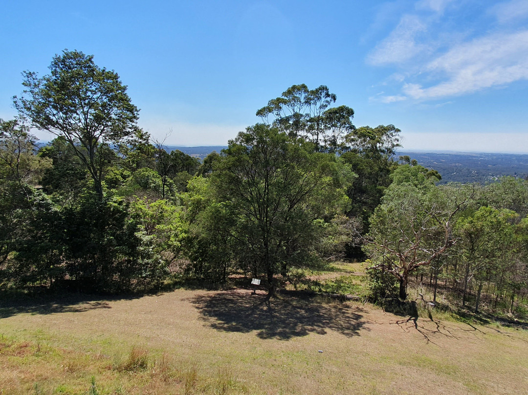 Bellbird Hill Lookout景点图片