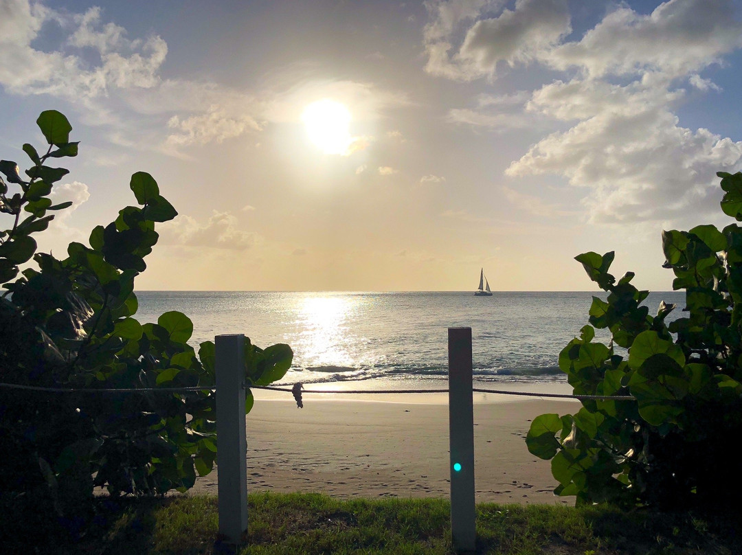 Rum Bus Beach-Johnsons Point必去景点