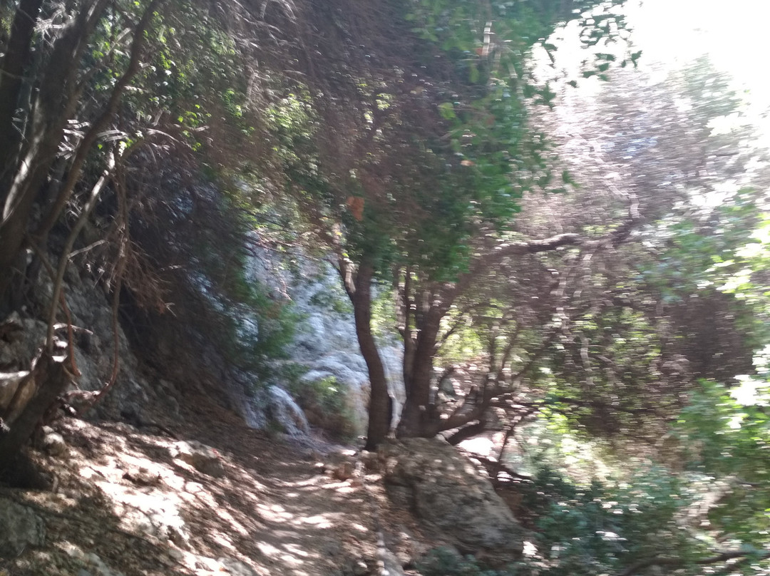 Anydri Gorge-Anidri必去景点