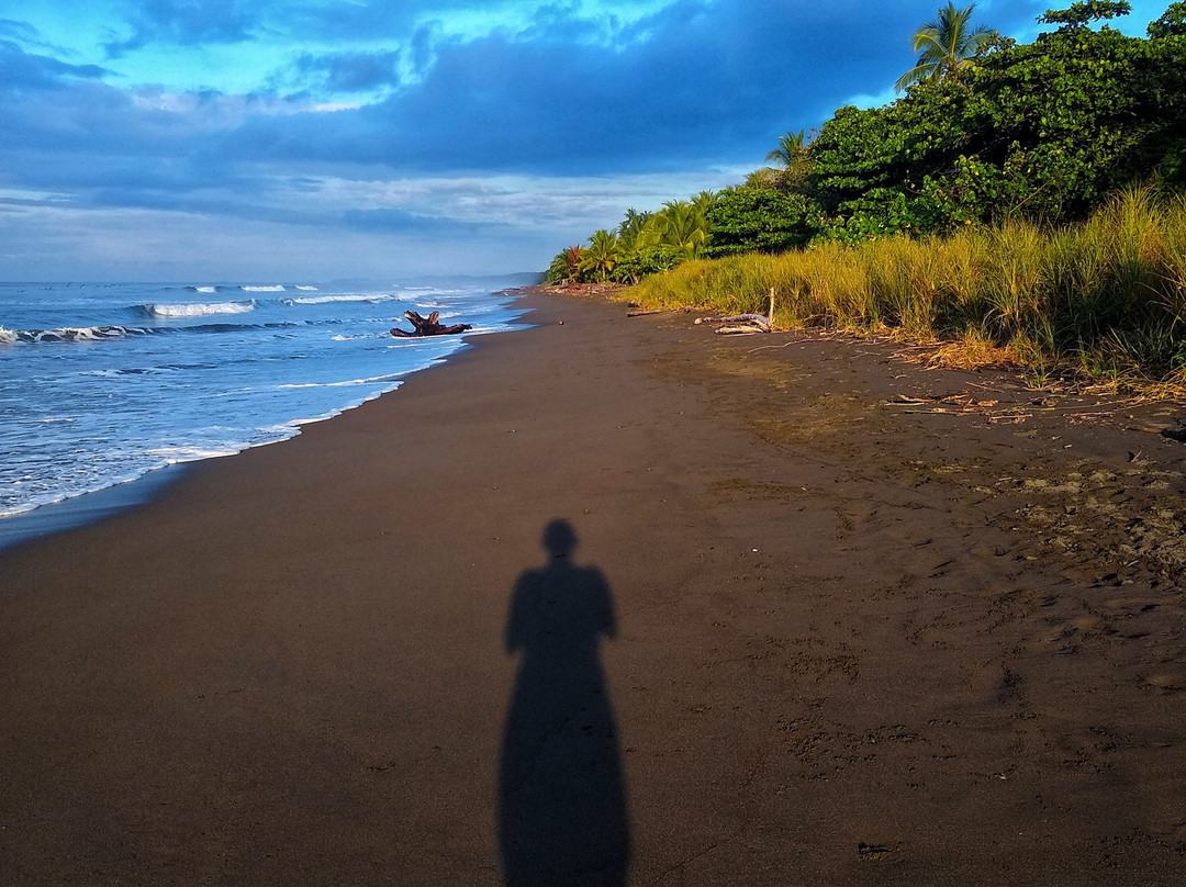 Coco Beach Village主图