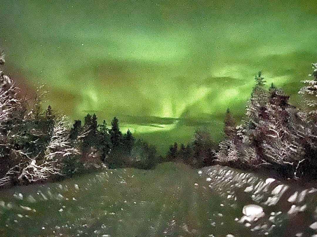 Kiruna Aurora Borealis - Northern Lights Tours景点图片