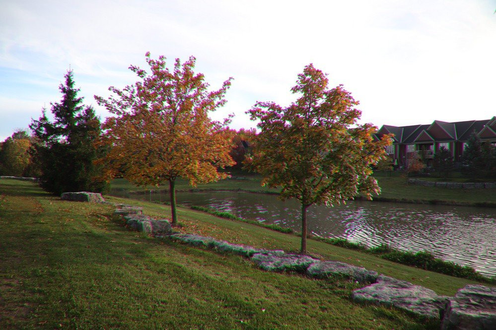 Coyle Creek Park景点图片