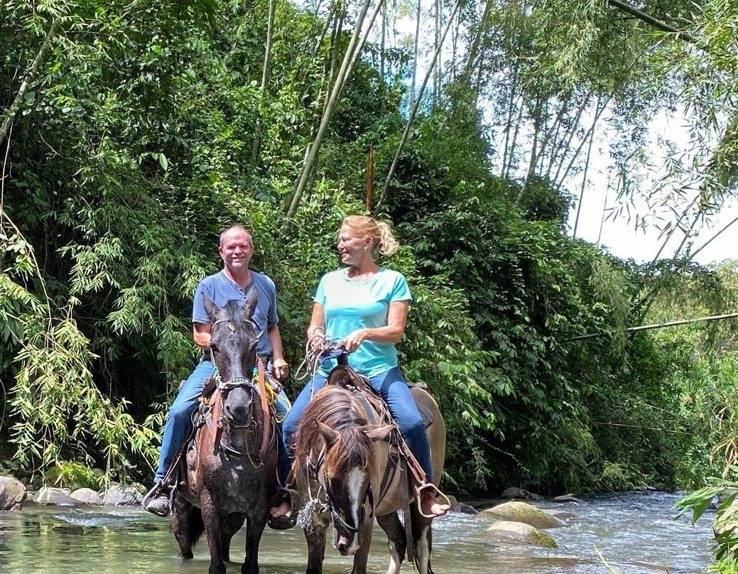 Steel Horse Colombia-Filandia必去景点