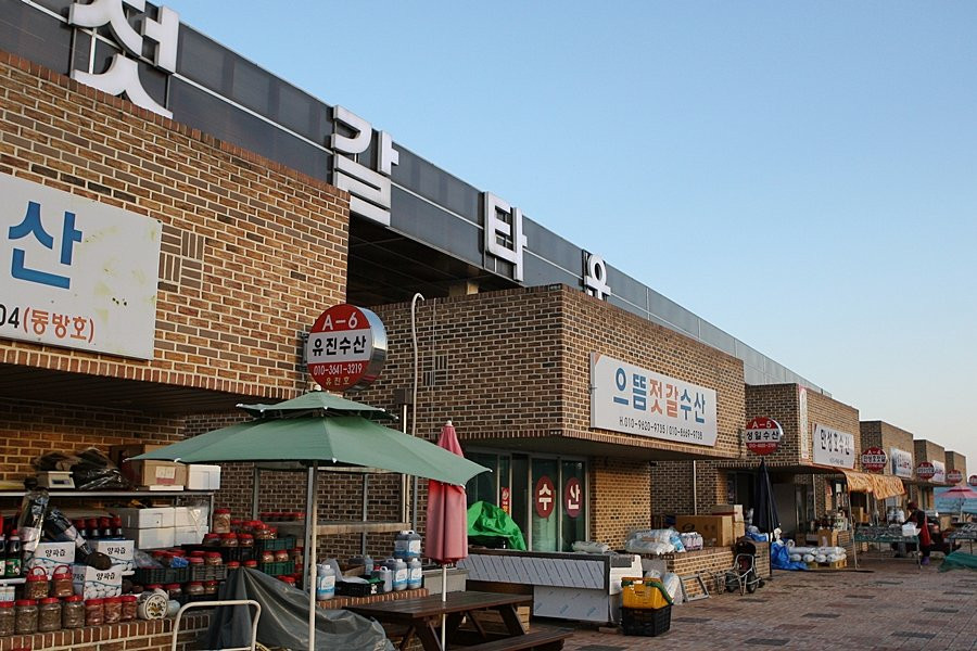 Sinan Jeotgal Town-新安郡必去景点