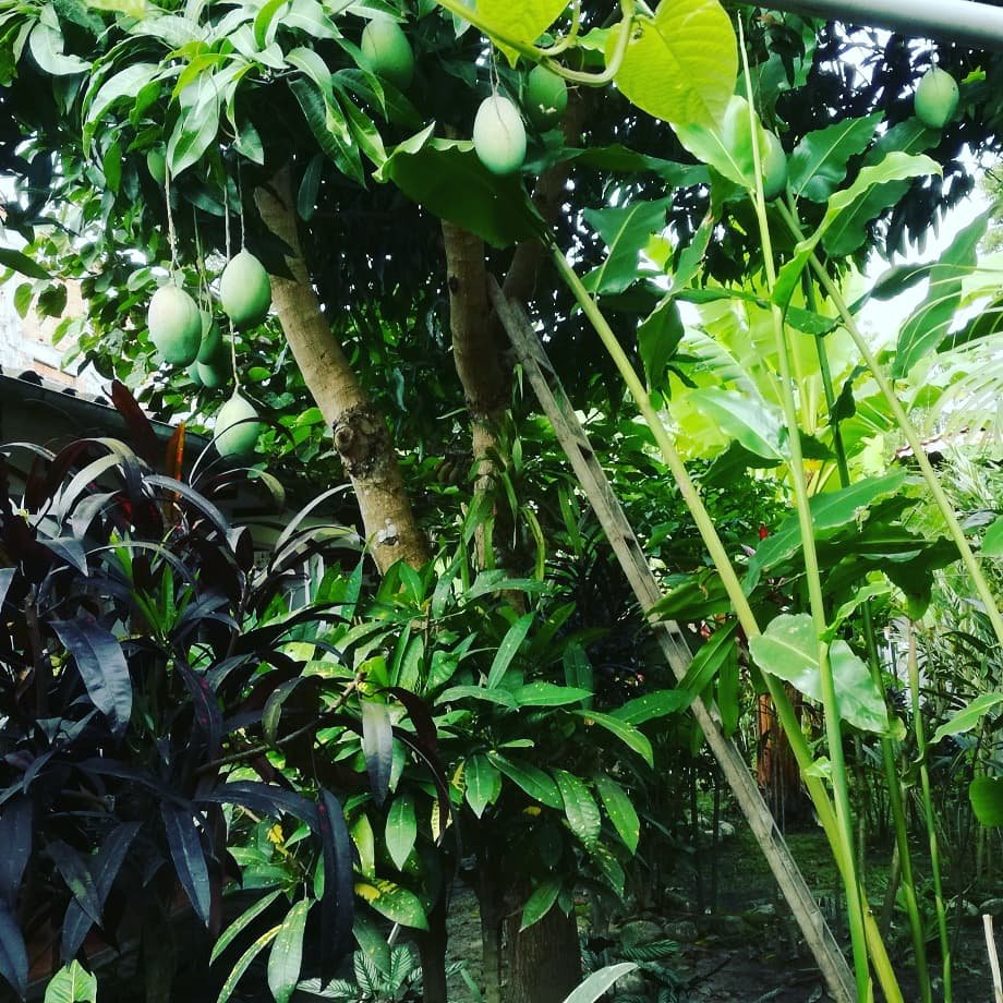 Casa Hospedaje el Porton-官方