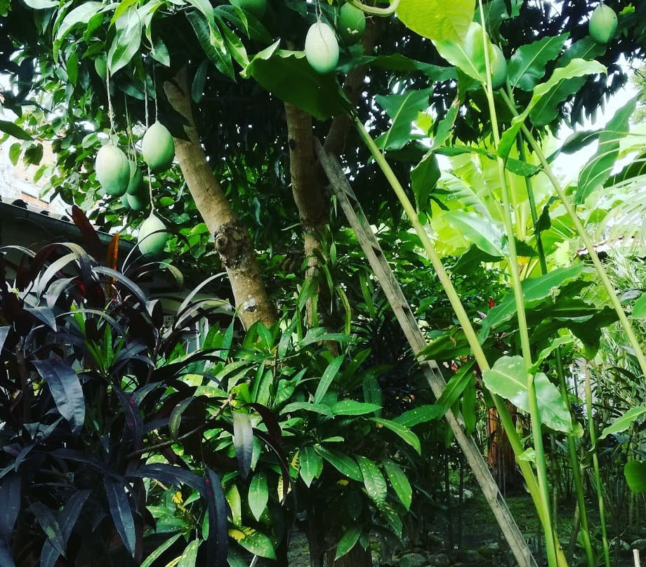 Casa Hospedaje el Porton主图