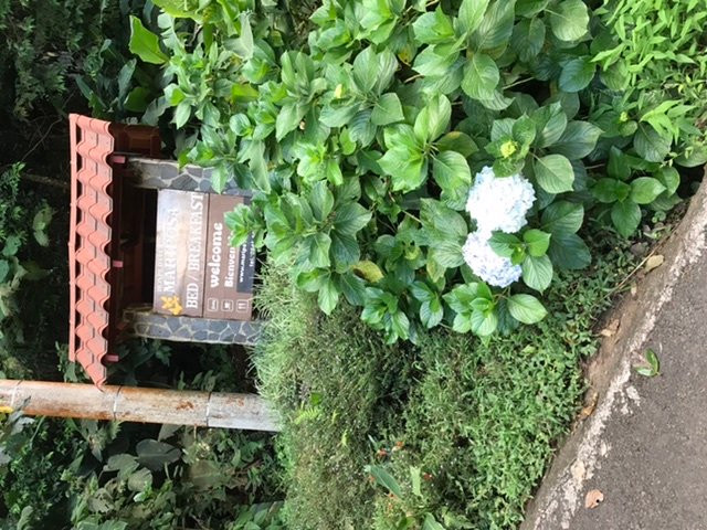 Hospedaje Mariposa主图