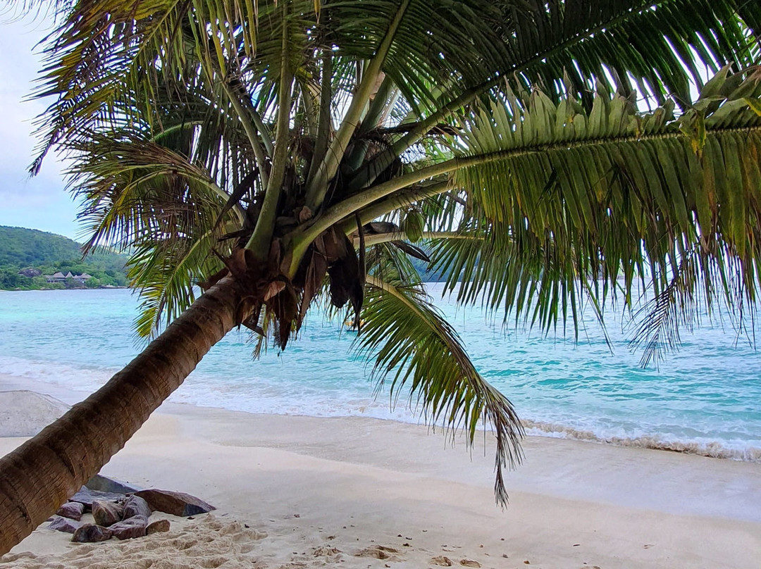 Dive Resort Seychelles景点图片