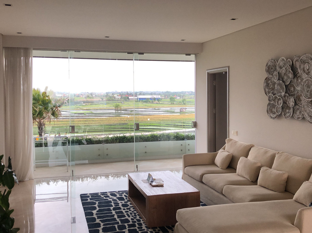 The Double View Mansions主图