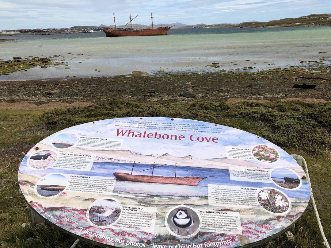 Lady Elizabeth Shipwreck-Stanley必去景点