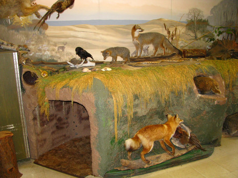 Mosquito Hill Nature Center-New London必去景点