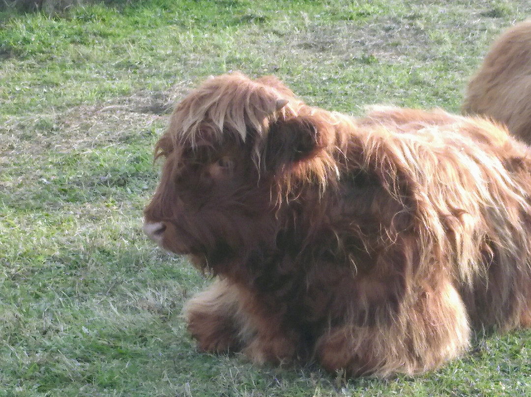 Lentevreugd-Wassenaar必去景点