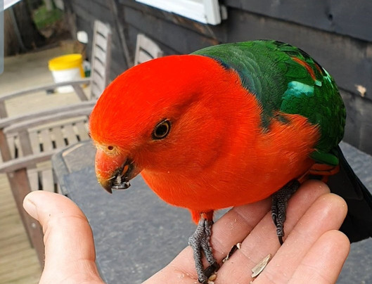 Chum Creek Horse Riding & Huts-Chum Creek必去景点