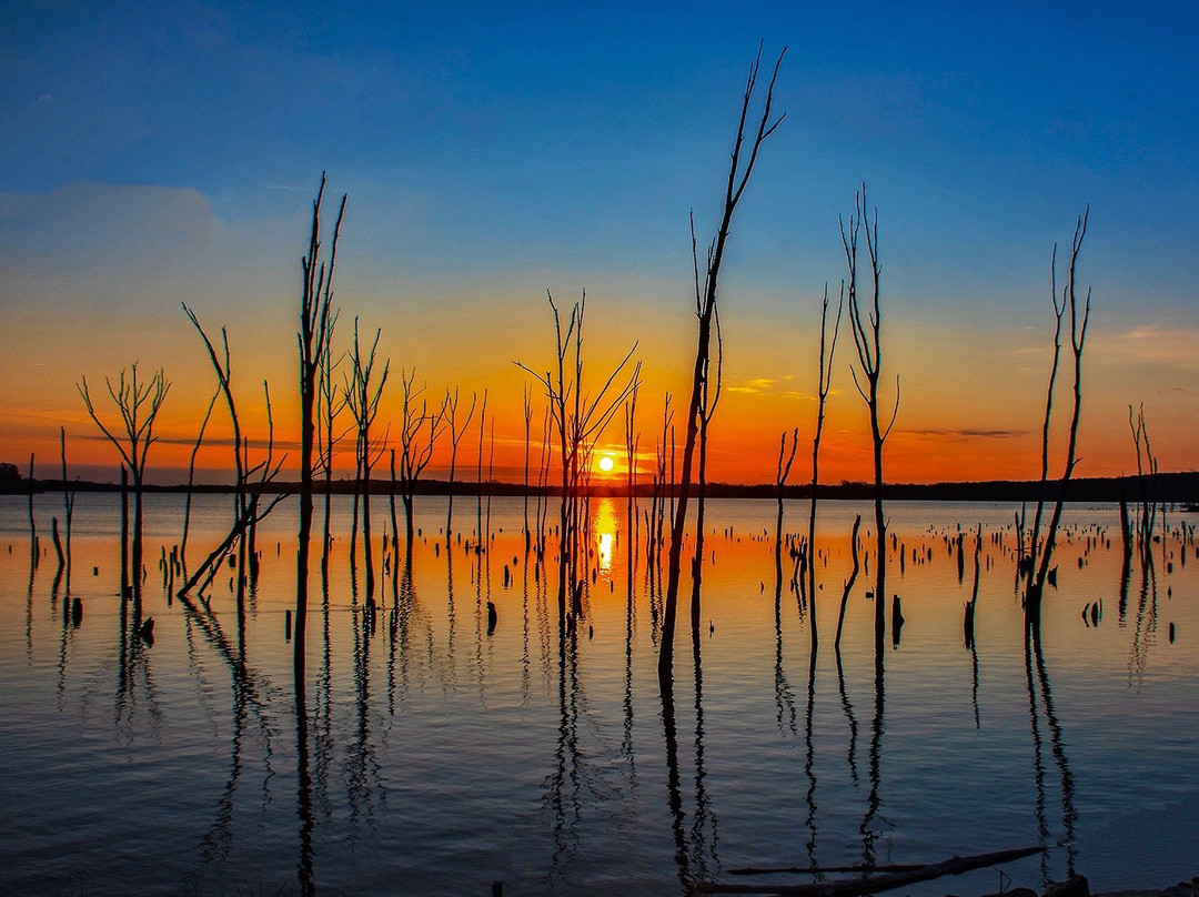 Manasquan Reservoir Visitor Center景点图片
