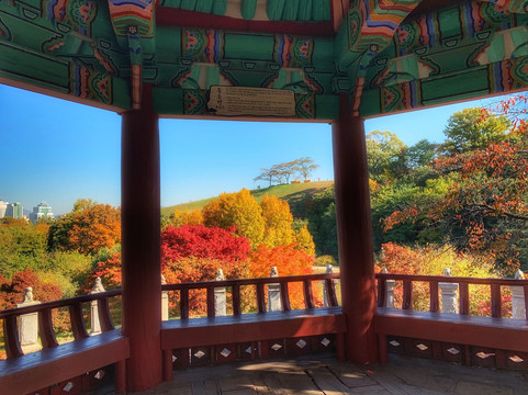 首尔奥林匹克花园酒店主图