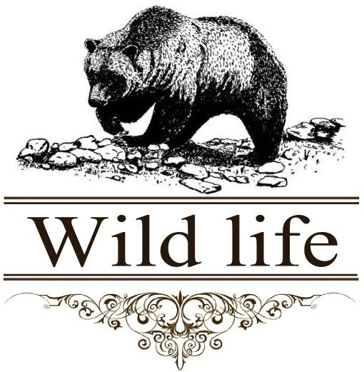 Wild Life Chalets