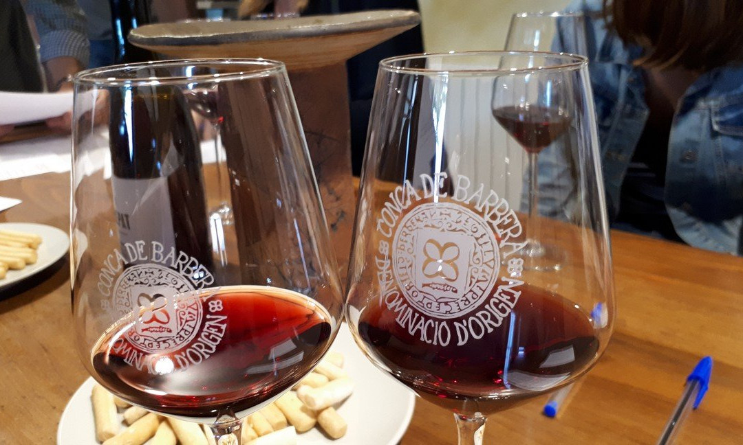 Celler Mas Foraster景点图片