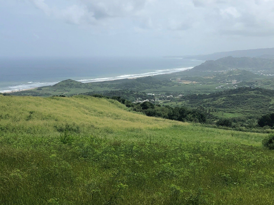 Williams Tours Barbados-布里奇顿必去景点