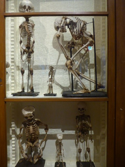 Universiteitsmuseum Utrecht-乌特勒支必去景点