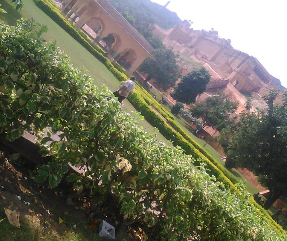 Evolve Travels-斋蒲尔必去景点