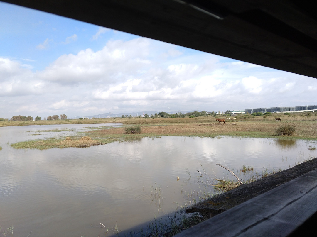 El Remolar-Filipines-比拉德坎斯必去景点