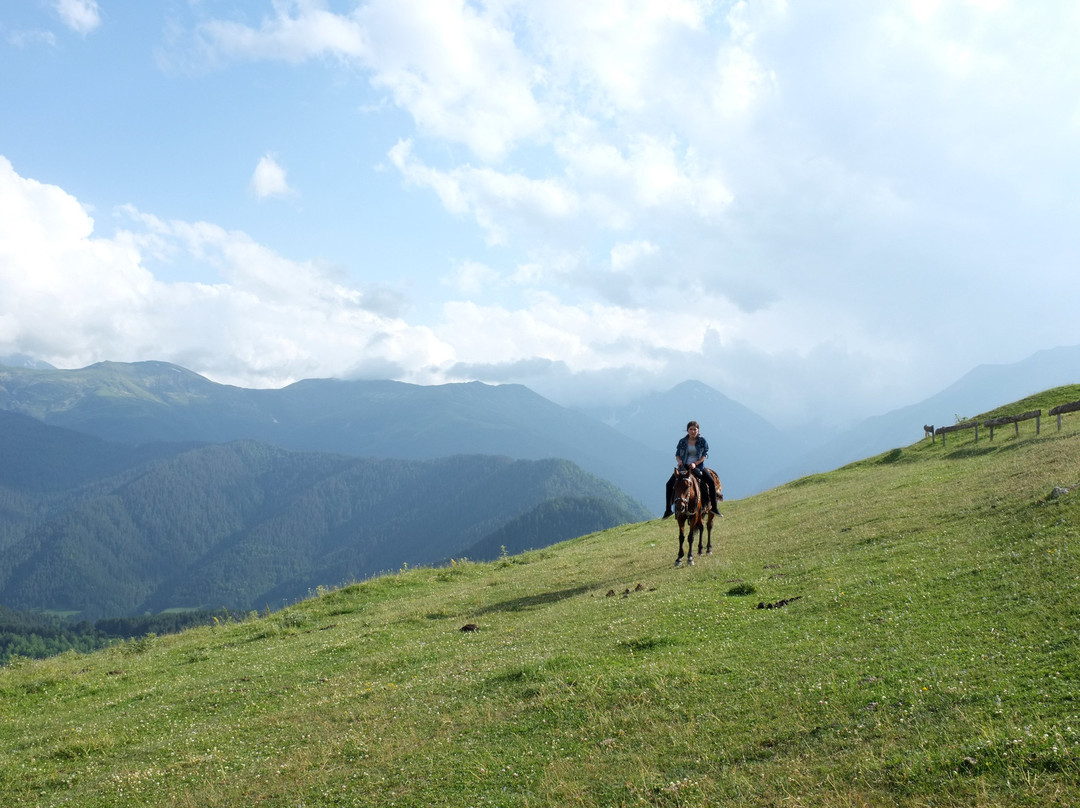 Experience The Caucasus-Omalo必去景点