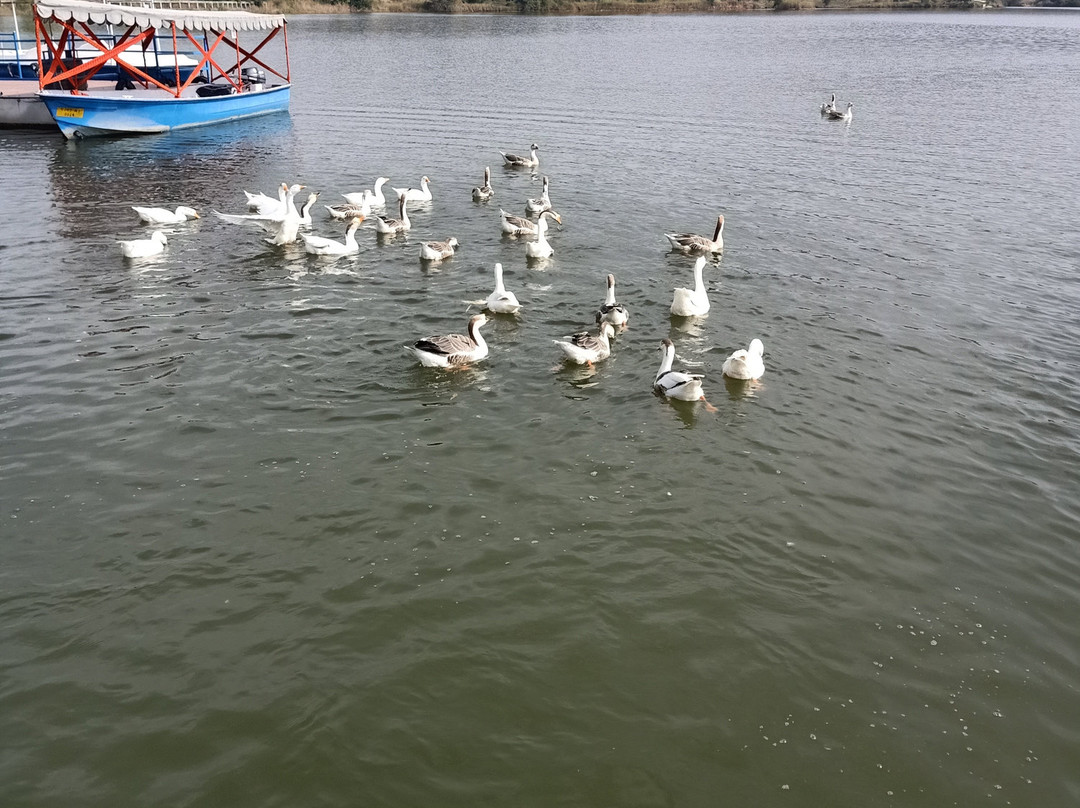 jüSTa Lake Nahargarh Palace, Chittorgarh主图