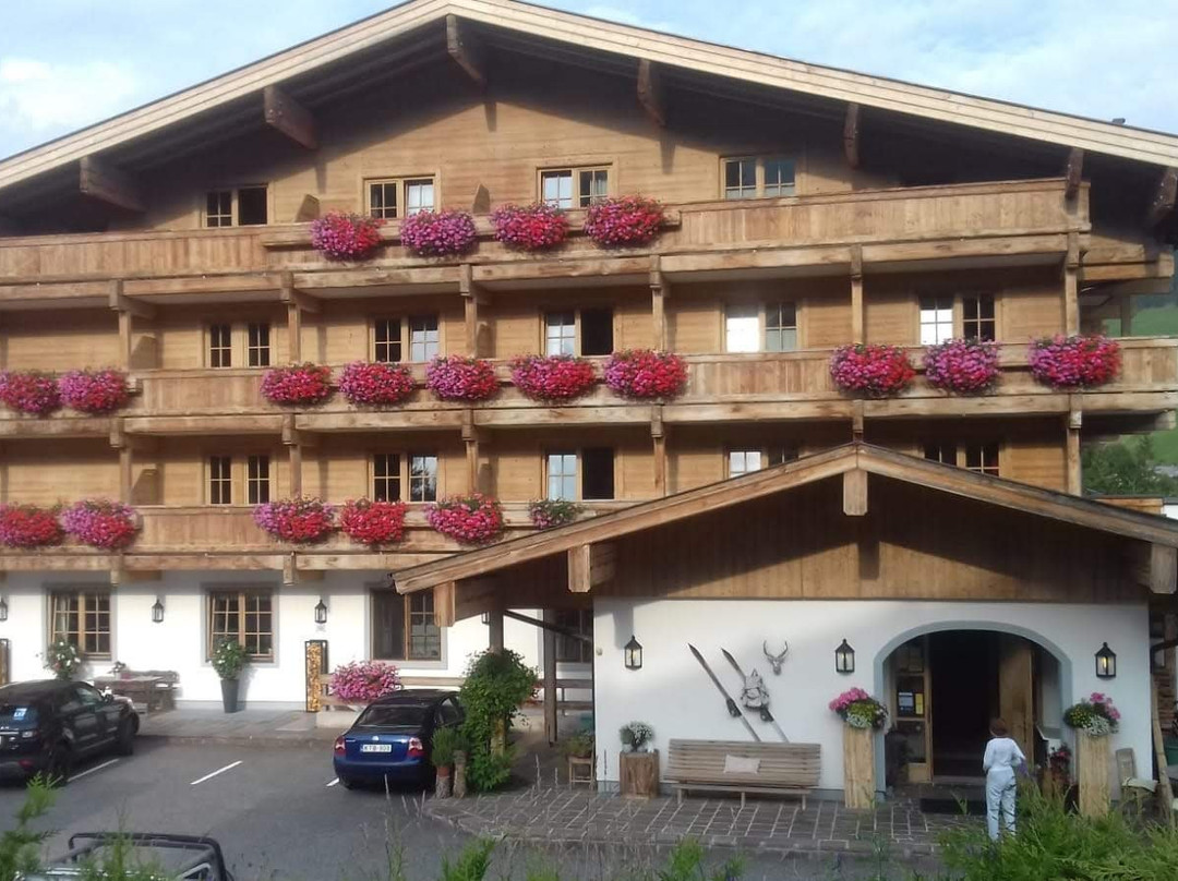 Hotel Der Almhof主图