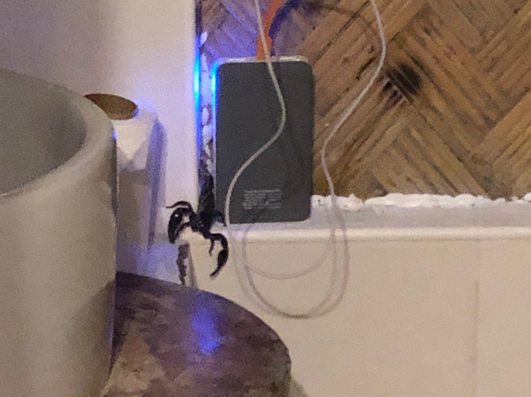 Balili Farm At Nacpan主图