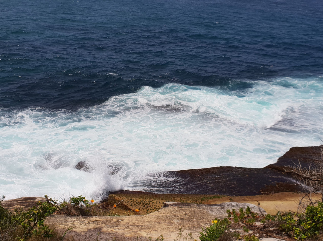 North Bondi Lookout景点图片