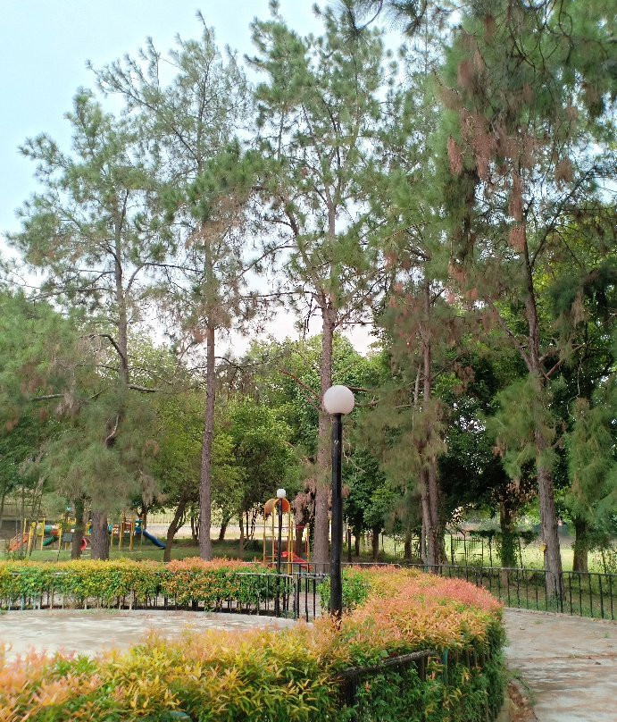 Rock Garden景点图片