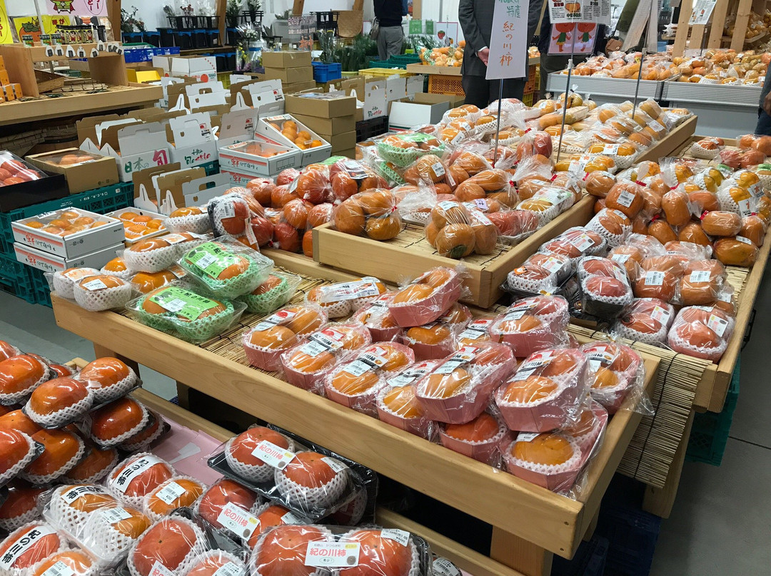 Michi-no-Eki Seishu-no-Sato-纪之川市必去景点