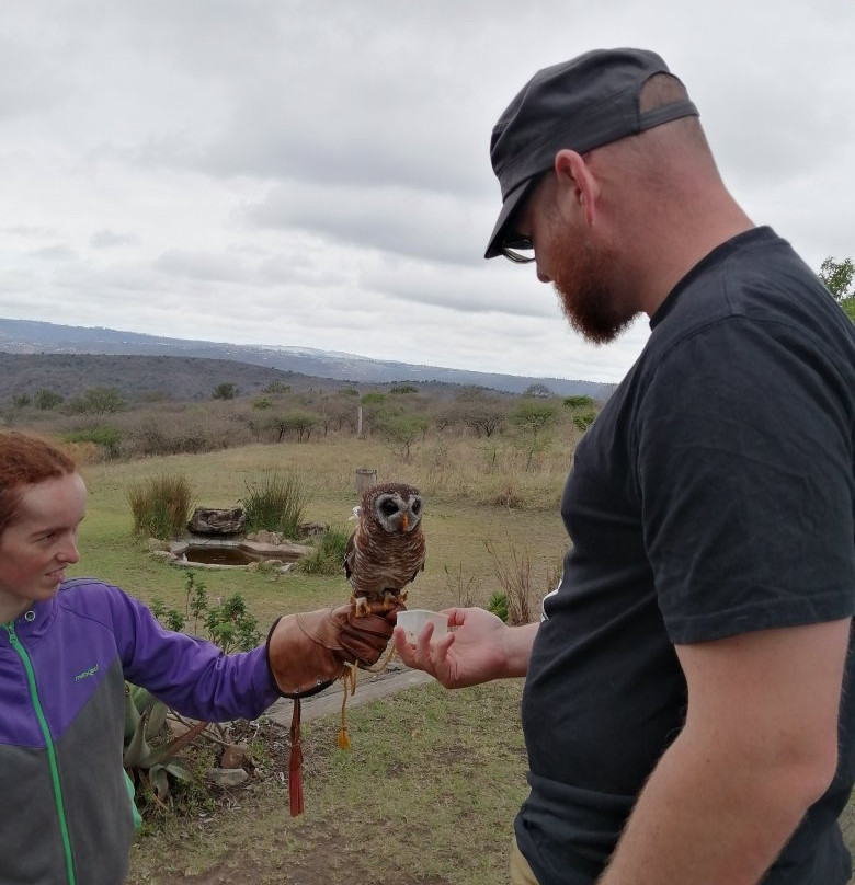 African Raptor Centre-彼得马里茨堡必去景点