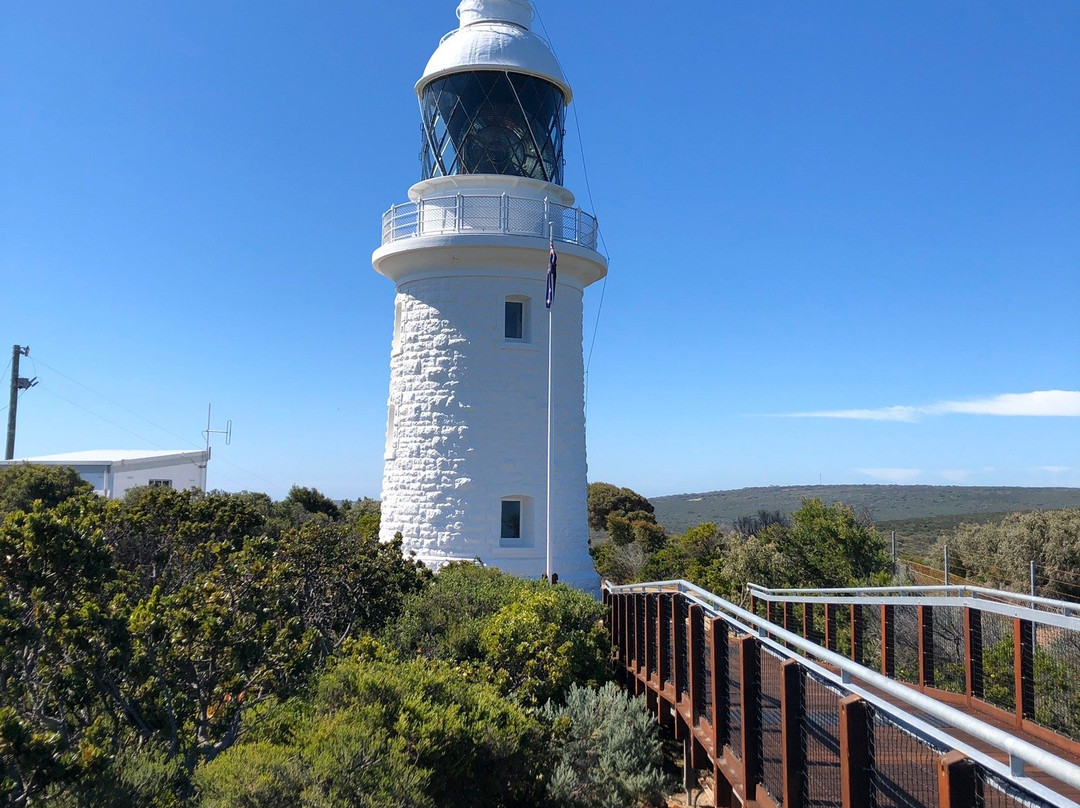 Cape Naturaliste Lighthouse景点图片