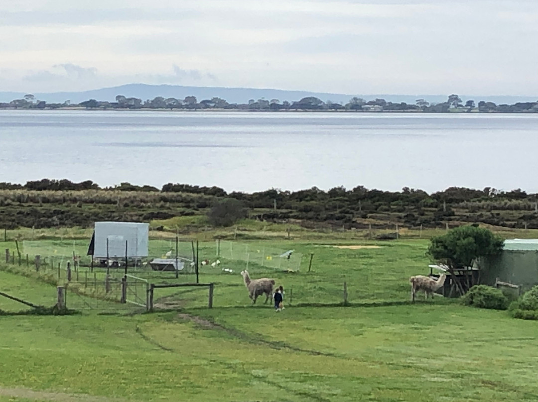 Basils Farm-皇后崖必去景点