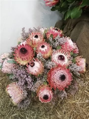 Fernkloof Nature Reserve-赫曼努斯必去景点