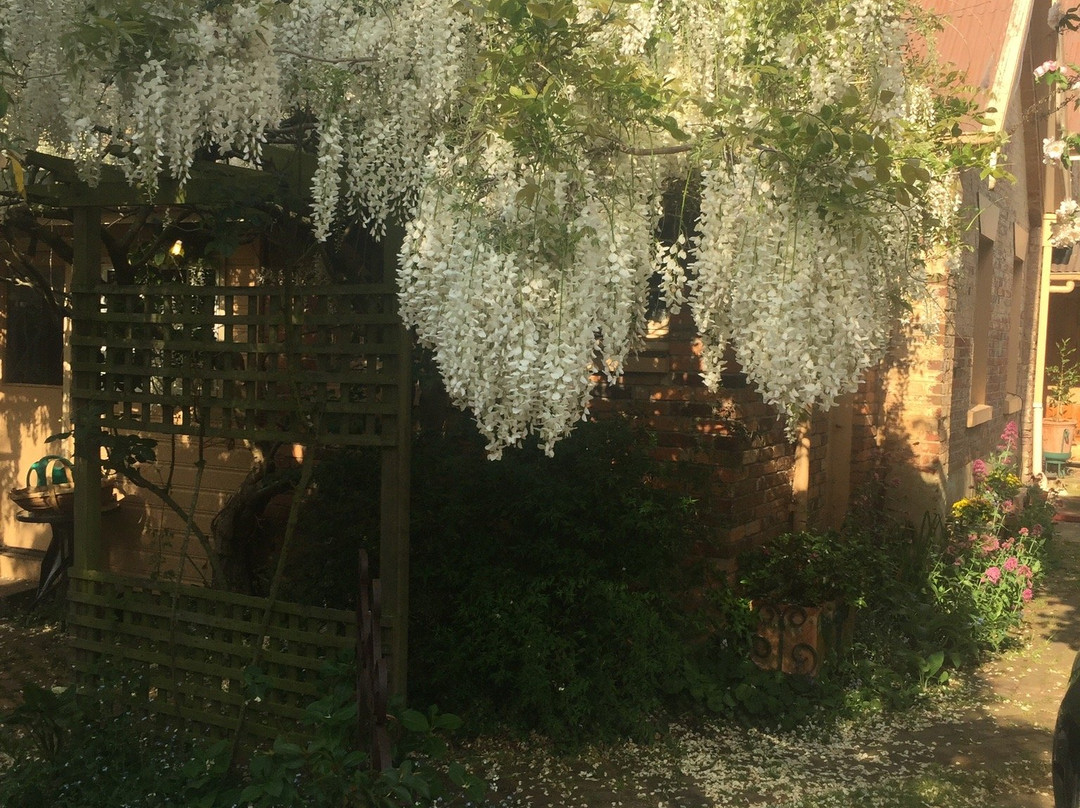 The Racecourse Inn主图