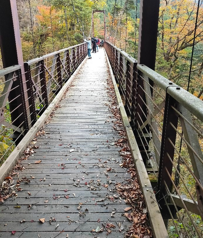 Mitoo Waterfalls-桧原村必去景点