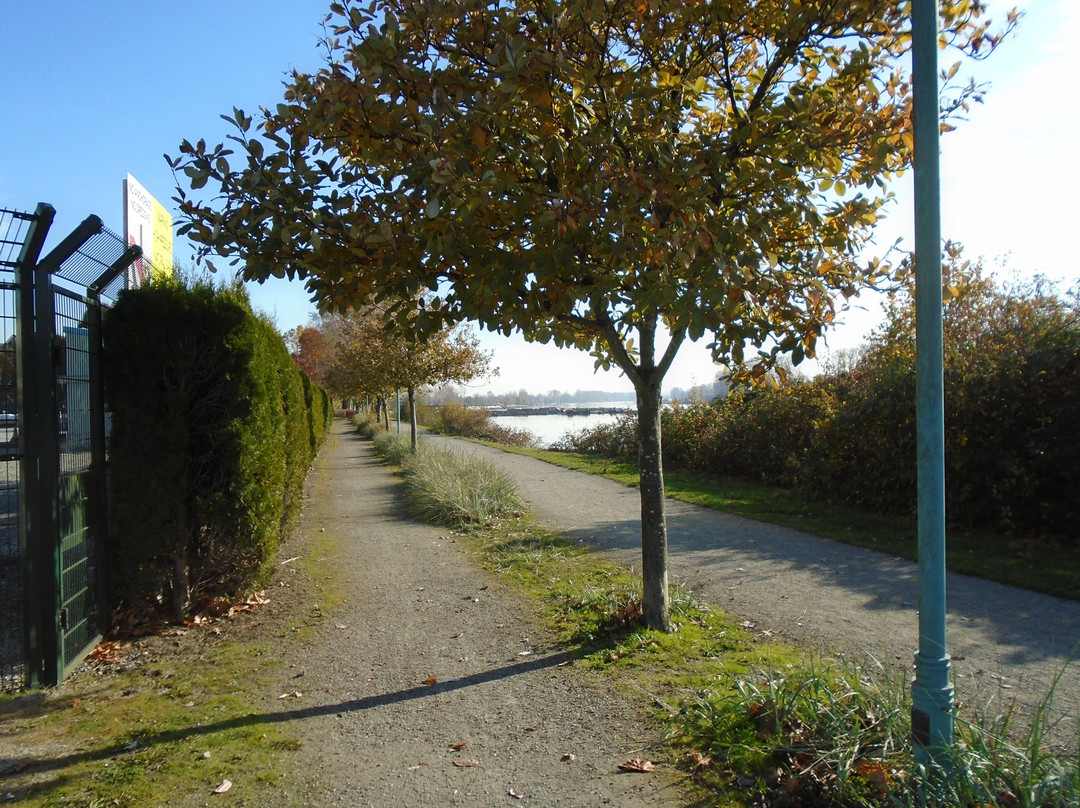River Front Park景点图片